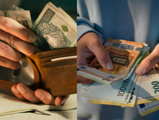 Polacy nie chcą euro