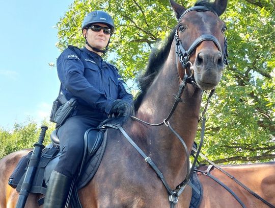 Policjanci na koniach strzegą granicy polsko-białoruskiej [VIDEO]