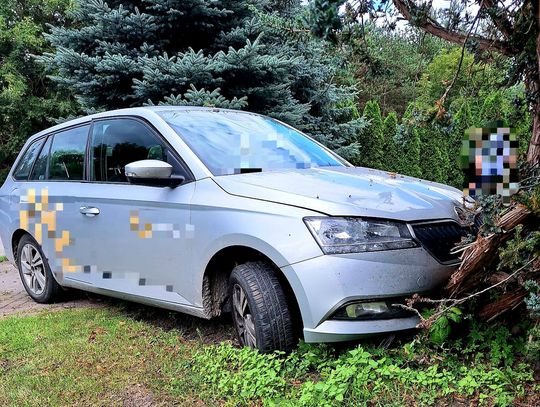 Uciekał przed radiowozem. Zatrzymał się dopiero na drzewie