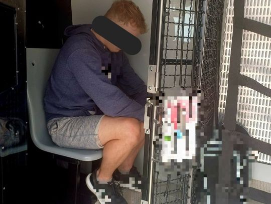 Poszukiwany ukrył się w zbożu