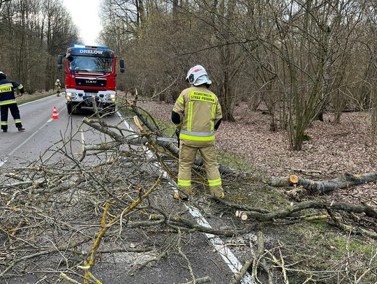 Powiało w weekend. Strażacy z pow. bialskiego interweniowali 21 razy
