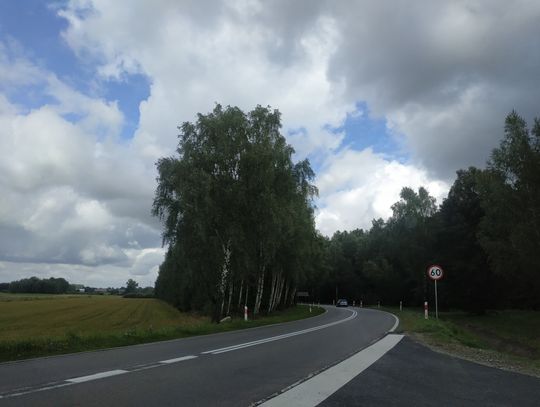 Powiat bialski: Co z drzewami na zakręcie?