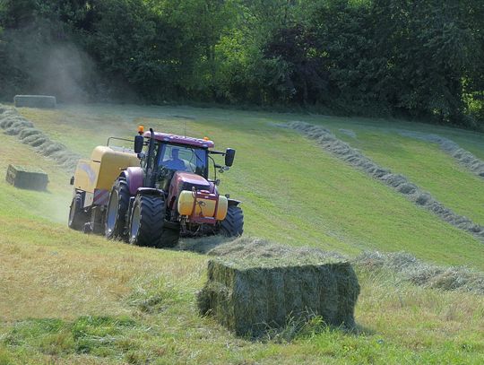 Powiat bialski: Co zrobić z przepalonym olejem?