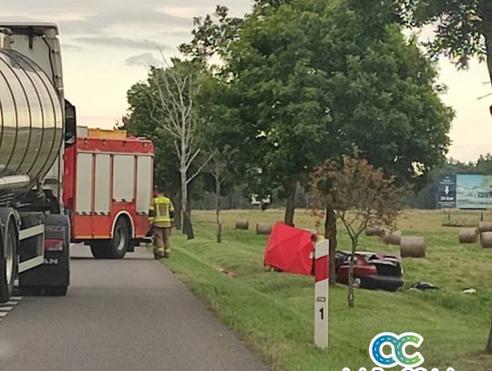 Powiat bialski: Śmiertelny wypadek na krajowej dwójce