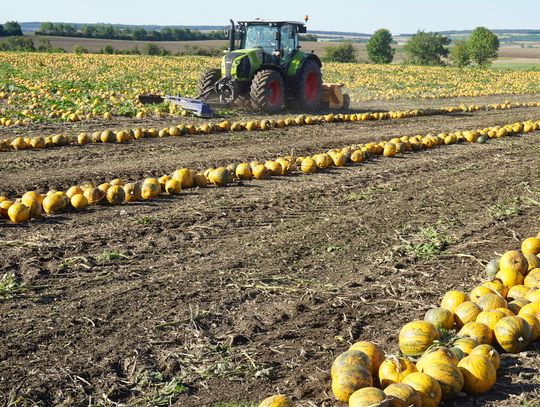 Powiat bialski: Straciliśmy cały roczny zarobek