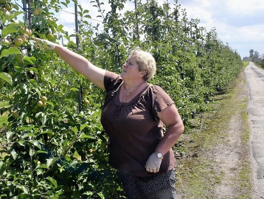 Powiat bialski: Ten rok jest dla nas stracony - mówią rolnicy z regionu