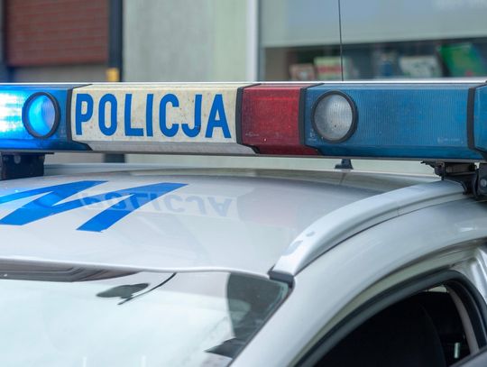 Powiat łosicki. Policyjny bilans z minionego tygodnia [02-08.03]