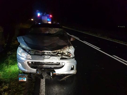 Powiat łosicki: Samochód osobowy zderzył się... z żubrem