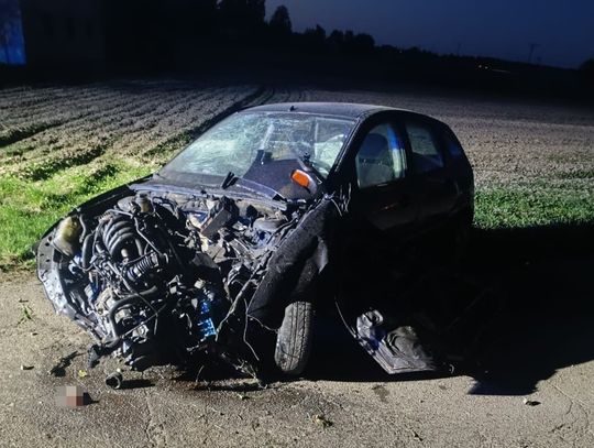 Powiat radzyński. Zakończył jazdę na płocie