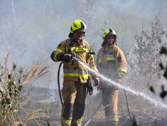Pożar lasu w Komarnem. Strażacy walczyli z ogniem kilka dni