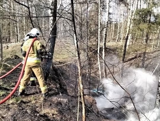 Pożar nielegalnego wysypiska w Sitnie. Płomienie sięgnęły lasu