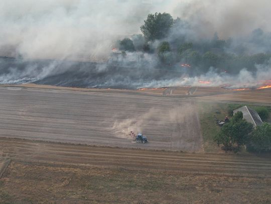 Pożar strawił Lasy Parczewskie. Strażacy walczyli z żywiołem przez całą noc [GALERIA ZDJĘĆ]