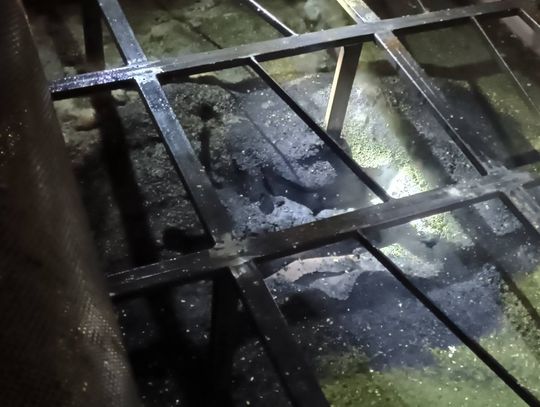 Pożar w suszarni pestek dyni w Sosnówce. Spłonęły 4 tony ziaren