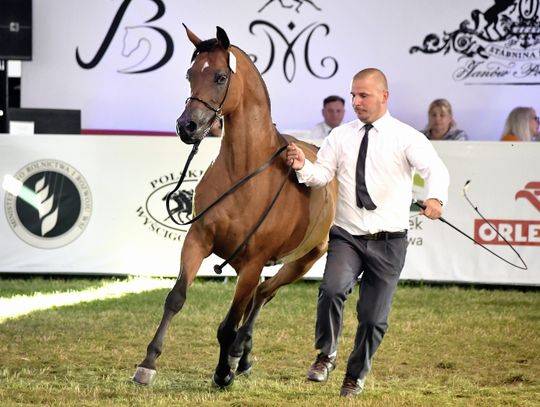 Pride of Poland w Janowie już w niedzielę 