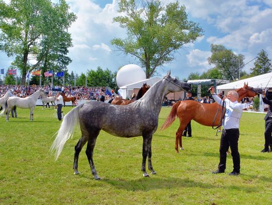 Pride Of Poland zbliża się wielkimi krokam