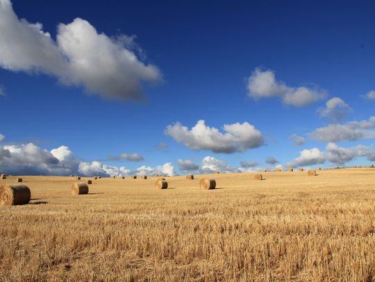 Prognoza pogody na 24 sierpnia. Sprawdź, jaka czeka nas aura