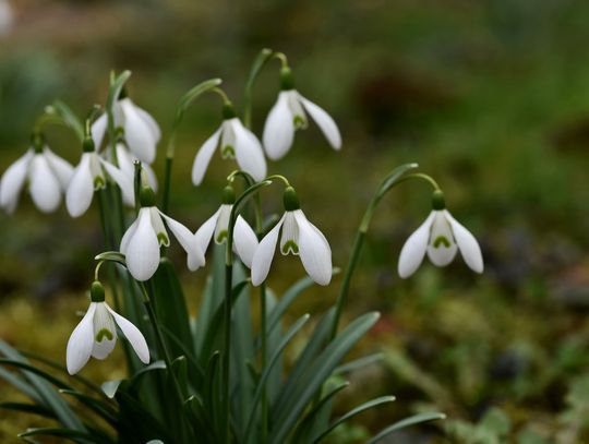 Prognoza pogody na czwartek