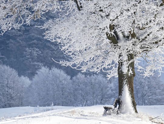 Prognoza pogody na czwartek. Popada śnieg, na drogach będzie ślisko