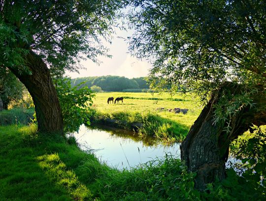 Prognoza pogody na piątek. Sprawdź, jaka aura nas czeka