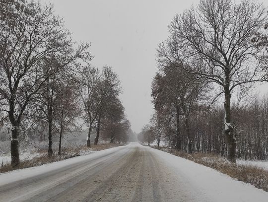 Prognoza pogody na piątek. Zimowa aura i lekkie opady śniegu