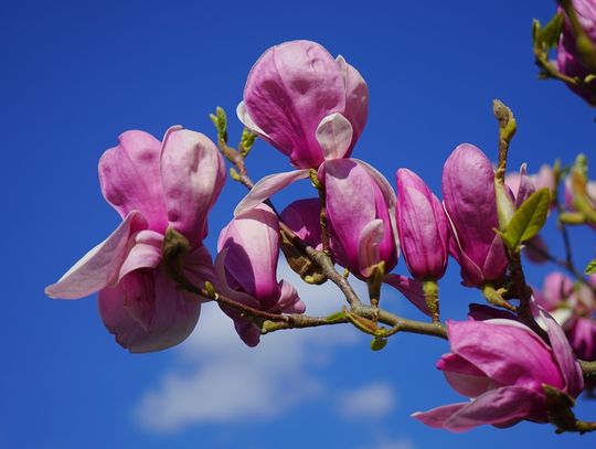 Prognoza pogody na poniedziałek