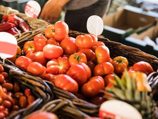 Prognoza pogody na poniedziałek. Będzie dużo słońca!