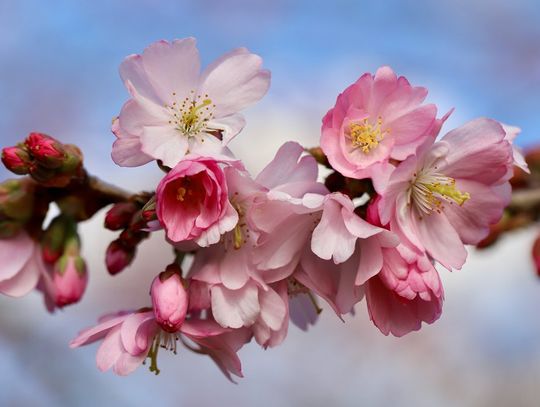 Prognoza pogody na środę. Pochmurno i z opadami