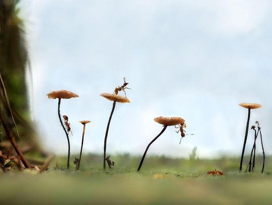 Prognoza pogody na środę. Będzie chłodniej