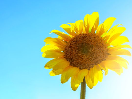 Prognoza pogody na środę. Przed nami kolejny upalny dzień