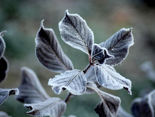 Prognoza pogody na środę. Sprawdź, jaka aura nas czeka