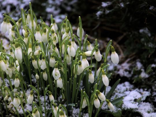 Prognoza pogody na środę. Sprawdź, jaka aura nas czeka