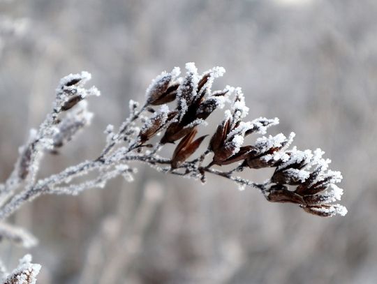 Prognoza pogody na środę. Sprawdź, jaka będzie aura