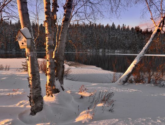 Prognoza pogody na środę. Ujemna temperatura i przebłyski słońca