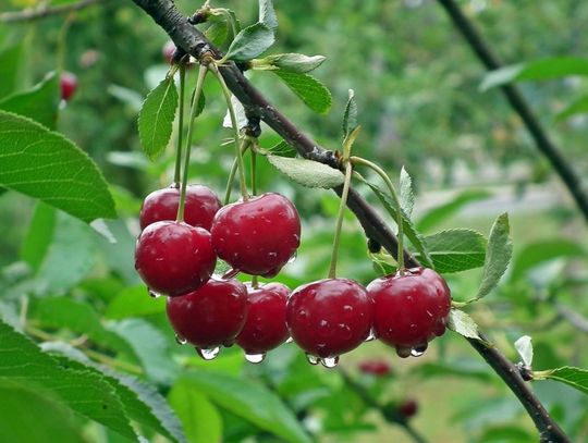 Prognoza pogody na weekend