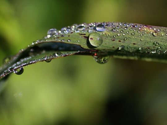 Prognoza pogody na weekend