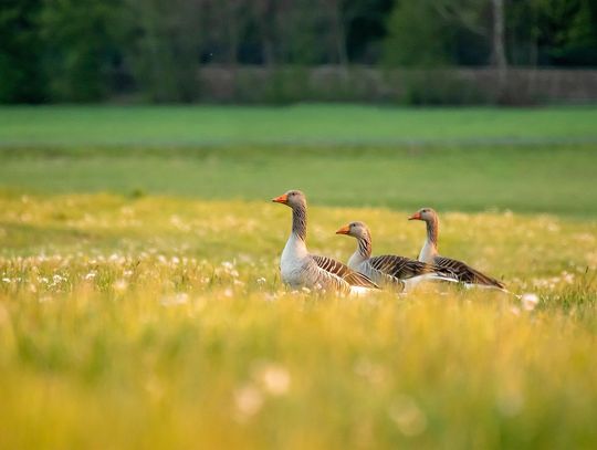 Prognoza pogody na weekend. Będzie upalnie i może zagrzmieć