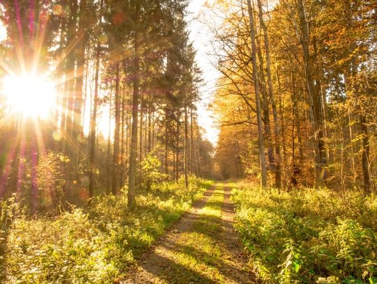 Prognoza pogody na weekend - sprawdź, jaka czeka nas aura