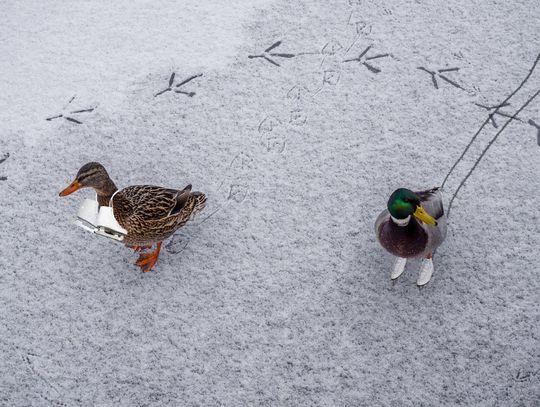 Prognoza pogody na weekend - sprawdź, jaka czeka nas aura