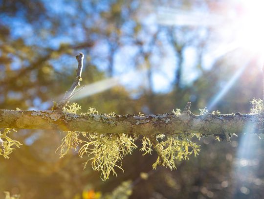 Prognoza pogody na weekend. Wietrzna sobota i deszczowa niedziela