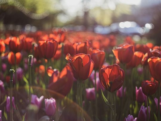 Prognoza pogody na wtorek