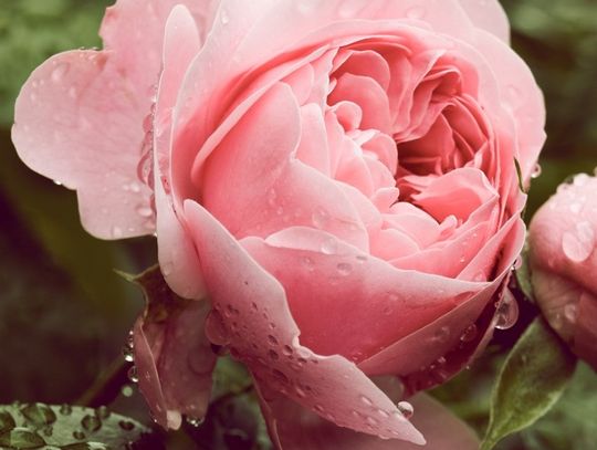 Prognoza pogody na wtorek