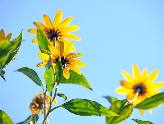 Prognoza pogody na wtorek. Sprawdź, jaka aura nas czeka