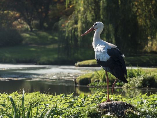 Prognoza pogody na wtorek. Sprawdź, jaka będzie aura