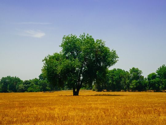 Prognoza pogody. Zapowiada się iście letni weekend!