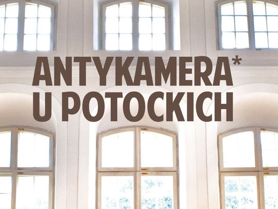 Propozycja dla młodych – antykamera u Potockich