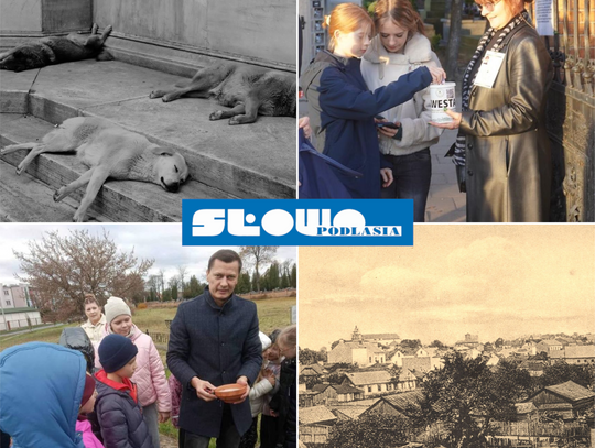 Przegląd informacji z 1 i 2 listopada 2025. Biała Podlaska, Międzyrzec Podlaski, Radzyń Podlaski, Łosice