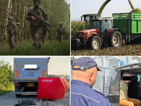 Przegląd informacji z 11 sierpnia 2026. Biała Podlaska, Międzyrzec Podlaski, Łosice, Parczew
