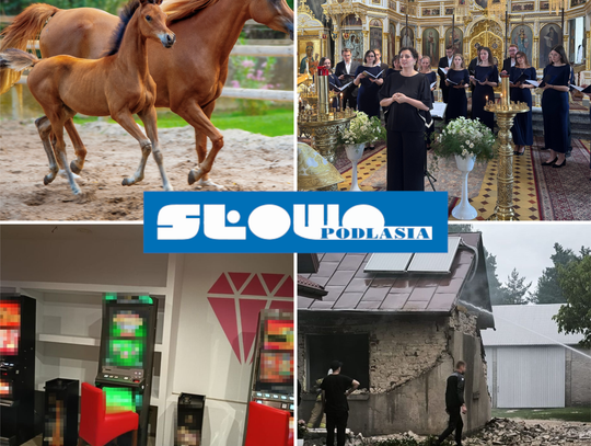 Przegląd informacji z 14 lipca 2026. Biała Podlaska, Międzyrzec Podlaski, Łosice, Parczew