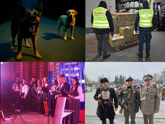 Przegląd informacji z 14 listopada 2025. Biała Podlaska, Międzyrzec Podlaski, Radzyń Podlaski, Parczew, Łosice Przegląd informacji z 14 listopada 2025. Biała Podlaska, Międzyrzec Podlaski, Radzyń Podlaski, Parczew, Łosice