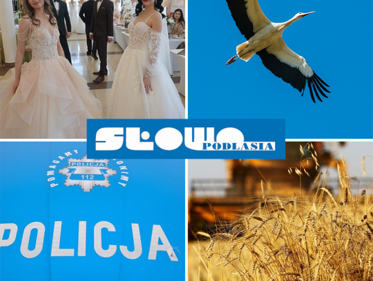 Przegląd informacji z 16 marca 2026. Biała Podlaska, Międzyrzec Podlaski, Łosice, Parczew